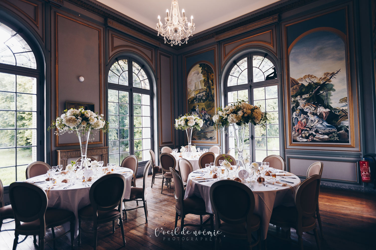 Grand salon des Dames Château de la Canière Puy de Dôme